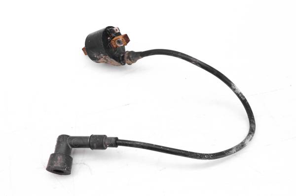 Polaris - 96 Polaris Xplorer 400 4x4 Ignition Coil