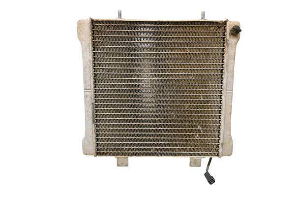 Polaris - 00 Polaris Sportsman 500 4x4 Radiator