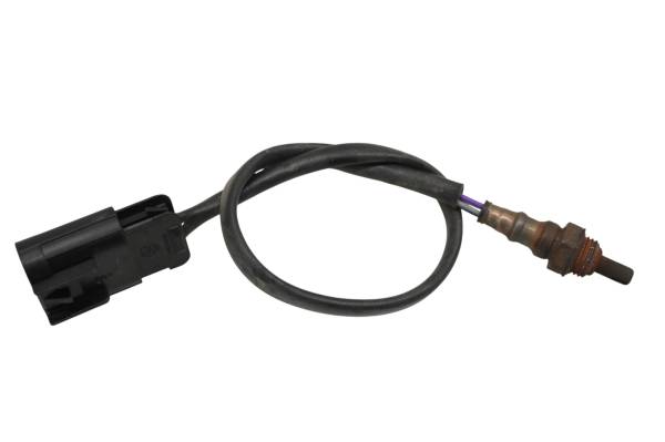 Polaris - 21 Polaris General XP 1000 Oxygen O2 Sensor