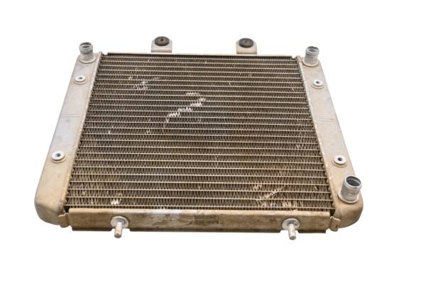 Polaris - 08 Polaris Sportsman 500 EFI 4x4 Radiator
