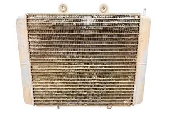 Polaris - 14 Polaris RZR 4 800 EPS Radiator