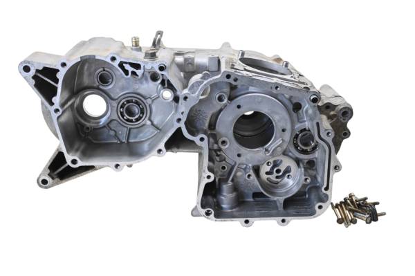 Arctic Cat - 07 Arctic Cat 250 2x4 Crankcase Center Crank Case