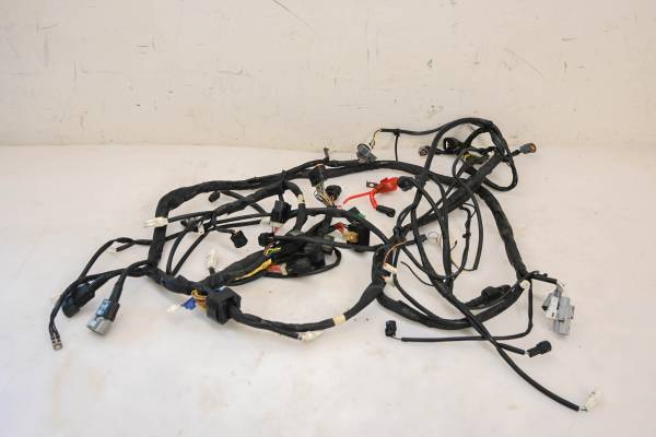 Yamaha - 16 Yamaha Wolverine R-Spec 700 Wire Harness Electrical Wiring