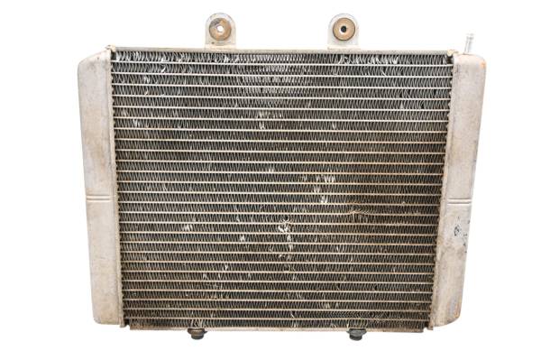 Polaris - 09 Polaris RZR 800 EFI Radiator