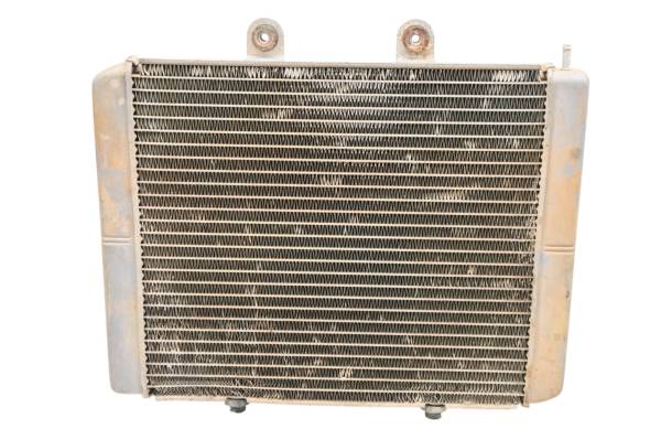 Polaris - 10 Polaris RZR S 800 EFI Radiator