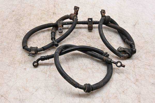 Honda - 03 Honda Rubicon 500 4x4 Front Brake Lines TRX500FA