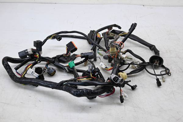 Suzuki - 06 Suzuki King Quad 700 4x4 Wire Harness Electrical Wiring LTA700X