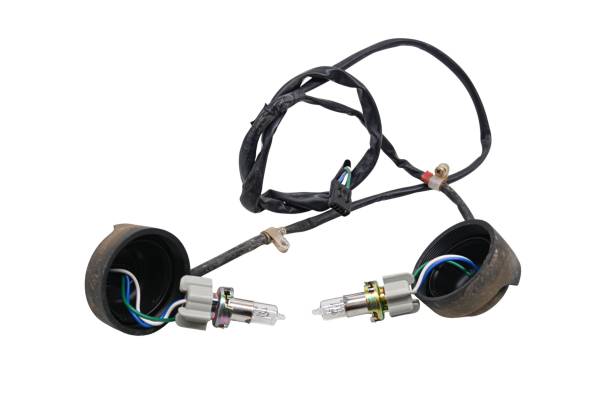 Honda - 03 Honda Rincon 650 4x4 Headlight Sockets