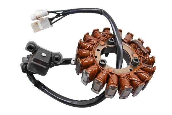 Suzuki - 07 Suzuki Ozark 250 2x4 Stator LTF250