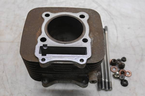 Suzuki - 07 Suzuki Ozark 250 2x4 Cylinder LTF250 For Parts