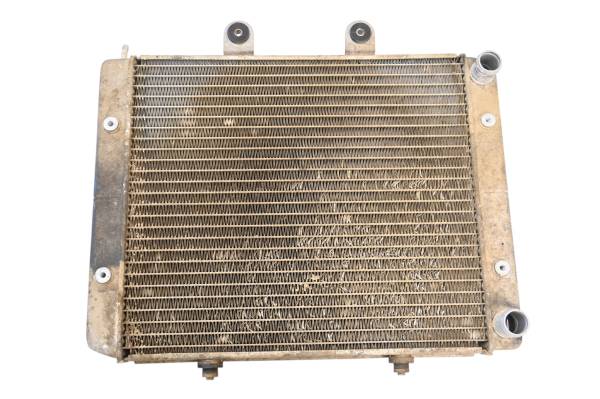 Polaris - 08 Polaris RZR 800 EFI 4x4 Radiator