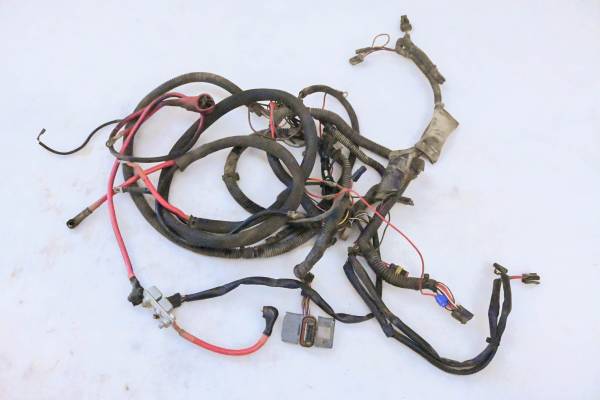 Polaris - 02 Polaris Sportsman 700 4x4 Wire Harness Electrical Wiring