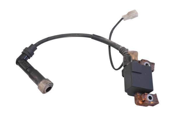 Kubota - 12 Kubota RTV400Ci Ignition Coil