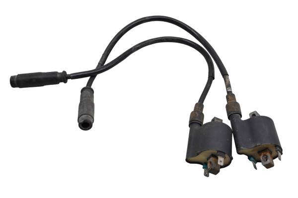 Kawasaki - 10 Kawasaki Teryx 750 Sport FI 4x4 Ignition Coils KRF750S