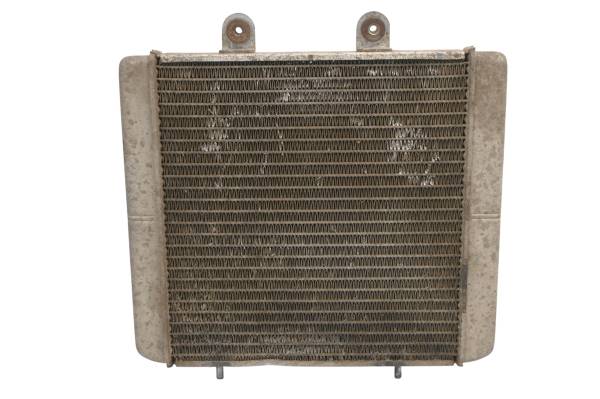 Polaris - 06 Polaris Sportsman 500 X2 4x4 Radiator