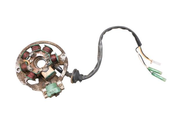 E-Ton - 05 E-Ton Viper 70 Stator