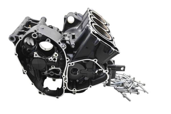 Yamaha - 24 Yamaha XSR900 Crankcase Center Crank Case & Cylinders