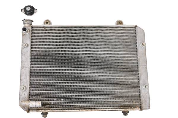 Polaris - 06 Polaris Ranger 500 4x4 EFI Radiator