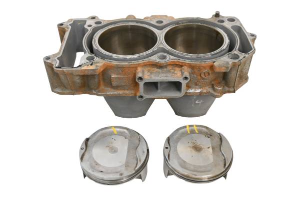 Kawasaki - 24 Kawasaki Teryx KRX 1000 Cylinder & Pistons KRF1000