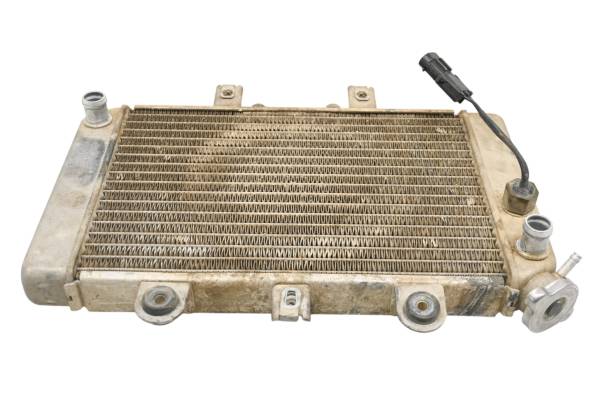 Polaris - 06 Polaris Predator 500 2x4 Radiator