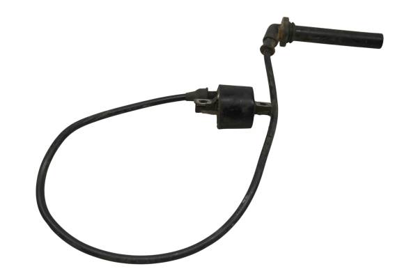 Polaris - 03 Polaris Predator 500 2x4 Ignition Coil