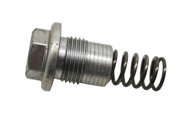 Kawasaki - 22 Kawasaki KLX300SM Cam Chain Tensioner