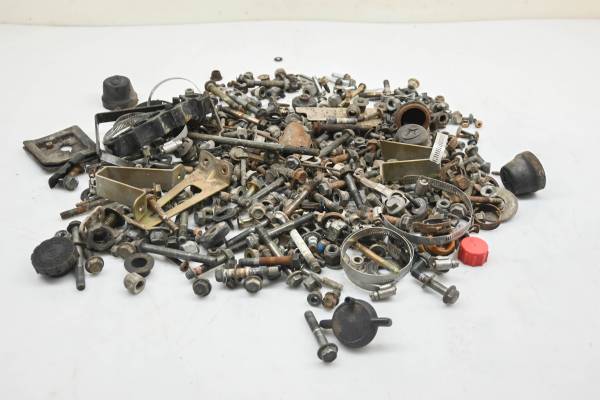 Polaris - 13 Polaris Brutus Hardware Set Nuts & Bolts