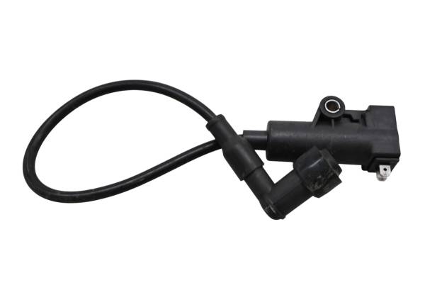 23 Bighorn Explorer 450 VXL-T Ignition Coil
