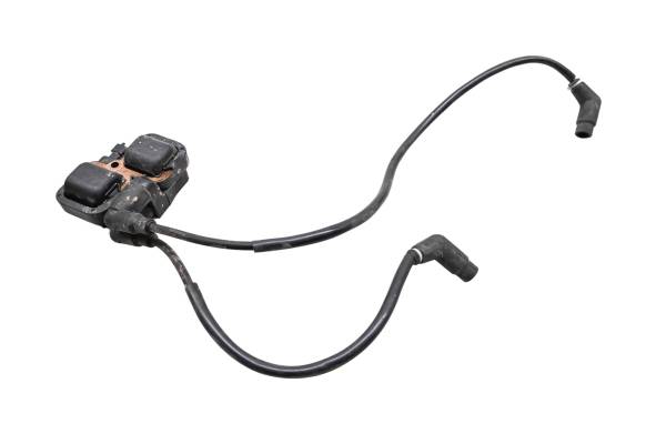 Can-Am - 12 Can-Am Commander 1000 XT 4x4 Ignition Coil