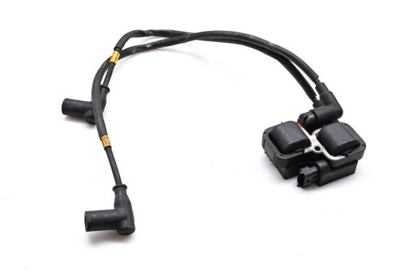 Ski-Doo - 06 Ski-Doo MXZ Renegade 1000 SDI Ignition Coil 136"