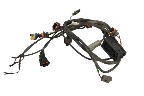 Can-Am - 08 Can-Am Renegade 500 Ecm Wire Harness Electrical Wiring
