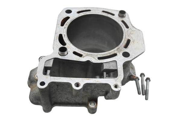 Kawasaki - 08 Kawasaki Brute Force 750 4x4i Rear Cylinder KVF750