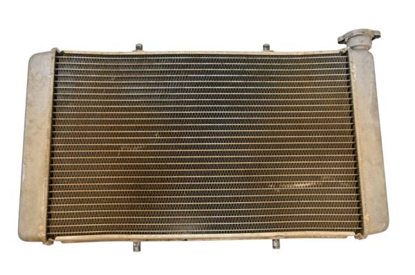 Yamaha - 17 Yamaha Wolverine R-Spec EPS Radiator YXE700