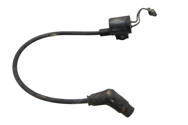 Polaris - 08 Polaris Sportsman 300 4x4 Ignition Coil