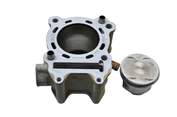 Can-Am - 07 Can-Am DS250 2x4 Cylinder & Piston