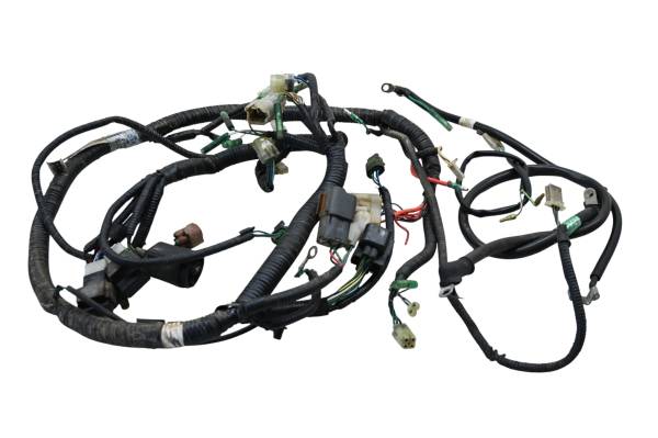 Can-Am - 07 Can-Am DS250 2x4 Wire Harness Electrical Wiring For Parts