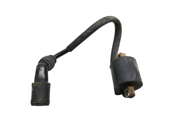 Arctic Cat - 02 Arctic Cat 400 4x4 FIS Ignition Coil