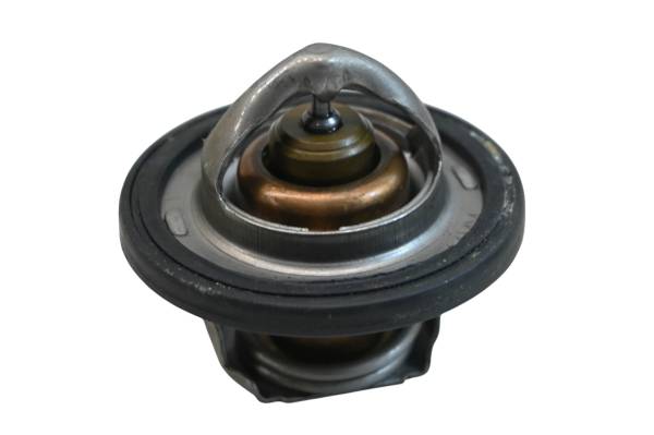 Polaris - 16 Polaris RZR XP 900 EPS Thermostat