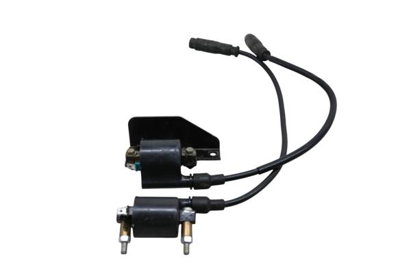 Kawasaki - 12 Kawasaki Teryx4 750 4x4 EPS Ignition Coils KRT750