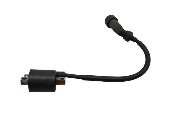 Yamaha - 09 Yamaha Grizzly 125 2x4 Ignition Coil YFM125