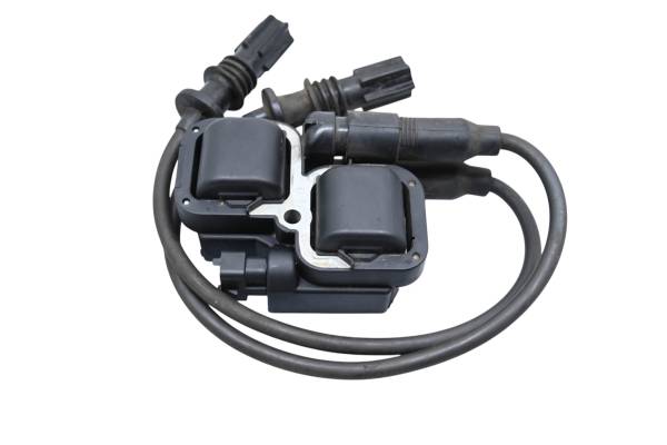 Polaris - 09 Polaris Sportsman 850 XP 4x4 Ignition Coils