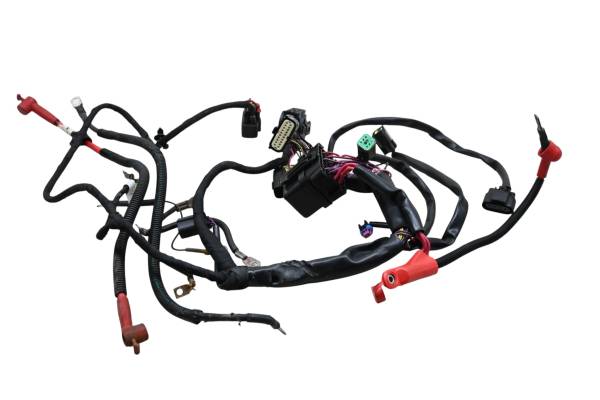Sea-Doo - 15 Sea-Doo Spark 900 HO ACE 2up Main Wire Harness Electrical Wiring