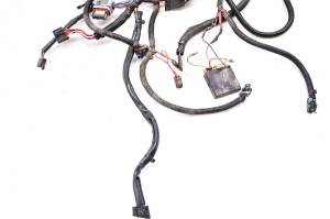 Polaris - 02 Polaris Sportsman 700 4x4 Wire Harness Electrical Wiring - Image 2