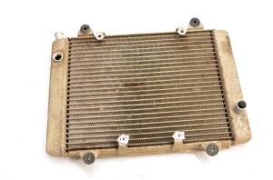 Kawasaki - 06 Kawasaki Prairie 700 4x4 Radiator KVF700D - Image 1