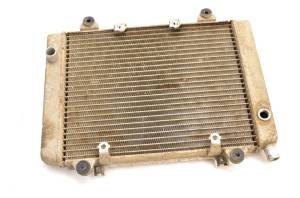 Kawasaki - 06 Kawasaki Prairie 700 4x4 Radiator KVF700D - Image 2