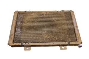 Can-Am - 16 Can-Am Maverick XDS DPS 1000R Radiator - Image 1