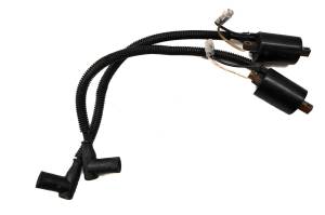 Polaris - 08 Polaris 700 IQ HO Cleanfire Ignition Coils 121" - Image 1