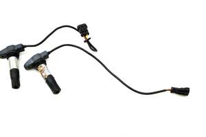 Aprilia - 09 Aprilia Shiver 750 Ignition Coils SL750 - Image 1