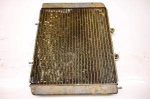 Polaris - 08 Polaris RZR 800 EFI 4x4 Radiator - Image 2