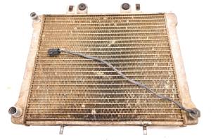 Polaris - 02 Polaris Sportsman 700 4x4 Radiator - Image 1